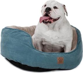 img 1 attached to 🛏️ Mod Chic Daydreamer Bed by PRECISION PET SnooZZy