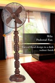 img 1 attached to 16 Inch DecoBREEZE Mila Pedestal Fan - 3 Speed Oscillating Fan