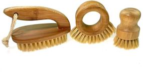 img 4 attached to 🧽 Organic Bamboo Dish Scrub Brush Set - Vegetable Brush - Includes: 1 - Iron Brush, 1 - Palm Brush, 1 - Circle Brush, Ideal for Cleaning Dishes, Cups, Mugs, Bakeware & More (6710-34)