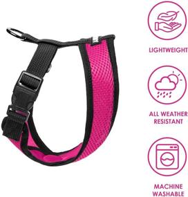 img 2 attached to Gooby Comfort X Head in Harness - Choke-Free X Frame - No Pull Dog Harness for Small & Medium Dogs - Ideal Indoors & Outdoors