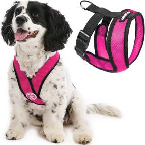 img 4 attached to Gooby Comfort X Head in Harness - Choke-Free X Frame - No Pull Dog Harness for Small & Medium Dogs - Ideal Indoors & Outdoors
