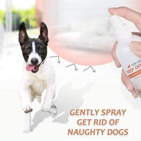 img 2 attached to 🐶 Dogs' No Chew Spray, Anti-Chew Deterrent Spray for Dogs, Indoor and Outdoor Dog Repellent Spray