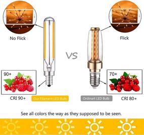 img 2 attached to 💡 Candelabra Incandescent Replacement Filament Lighting