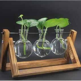 img 3 attached to NEWCOMDIGI 3 Bulb Vase Desktop Glass Terrarium with Transparent 🏢 Design, Wooden Stand, and Hydroponics Plant Vase for Home and Office Decoration