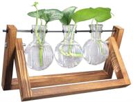 newcomdigi 3 bulb vase desktop glass terrarium with transparent 🏢 design, wooden stand, and hydroponics plant vase for home and office decoration логотип