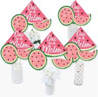 big dot happiness sweet watermelon event & party supplies and children's party supplies logo