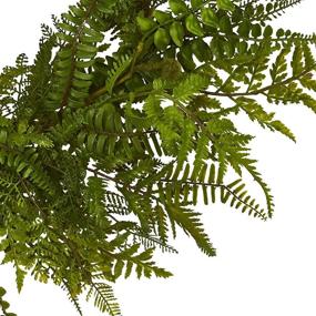 img 1 attached to 🌿 24in Artificial Mixed Fern Wreath - Natural Greenery for Home Decor, 24" W x 5" D x 24" H