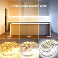 🌟 enhance your space with dimmable dual white led strip lights - bluetooth app control for home, kitchen, bedroom, under cabinet - 16.4ft/5m 5025 300 leds warm white/daylight 2700k-6000k flexible led light strip kit логотип