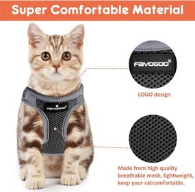 img 2 attached to 🐱 Escape Proof Cat Harness for Walking - 2 Pack, Lightweight Kitten Vest with Lifetime Replacement. Easy Control, Breathable & Reflective Strip (No Leash)