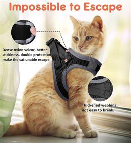 img 1 attached to 🐱 Escape Proof Cat Harness for Walking - 2 Pack, Lightweight Kitten Vest with Lifetime Replacement. Easy Control, Breathable & Reflective Strip (No Leash)