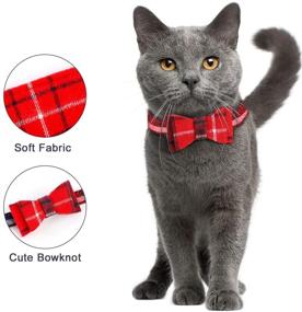 img 3 attached to 🎀 Cute Bow Tie Dog Collar Set for Small/Medium Dogs and Cats - Perfect for Your Adorable Puppy