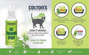 img 1 attached to 🐈 Colton's Naturals (2) Cat & Kitten Training Spray Aid 3 in 1 w/Bitter - Effective Cat Repellent for Indoor & Outdoor Use - Furniture Protector - Anti-Scratch Solution - Establish Boundaries - USA Made