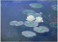 🎨 qsirbuti monet paint by numbers for adults: beginner's diy canvas kit with acrylic pigment & lotus design logo