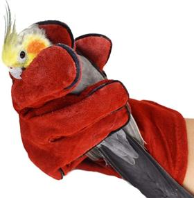 img 4 attached to Bonaweite Bird Training Anti-Bite Gloves - Protective Handling Gloves for Conures, Cockatiels, Parrotlets, Macaws, and More