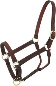 img 1 attached to Tough 1 Royal King Stable Halter - Premium Leather for Superior Performance