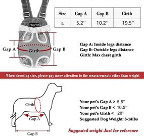 img 3 attached to 🐾 Adjustable Pet Carrier Backpack - Whizzotech Pet Frontpack Carrier for Traveling, Hiking, Camping - Easy-Fit Travel Bag with Legs Out (PB03)