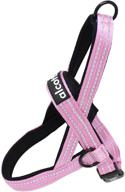 🐾 alcott reflective norwegian harness for dogs with stitching logo