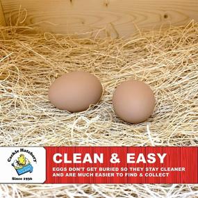 img 3 attached to 🐔 Cackle Hatchery 12-Pack Laying Hen Nest Box Pads