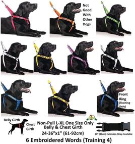 img 1 attached to 🚫 NO DOGS Orange Color Coded Semi-Choke Dog Collar: A Safety Measure to Prevent Accidents and Warn Others of Your Dog's Incompatibility with Other Dogs