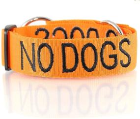 img 4 attached to 🚫 NO DOGS Orange Color Coded Semi-Choke Dog Collar: A Safety Measure to Prevent Accidents and Warn Others of Your Dog's Incompatibility with Other Dogs