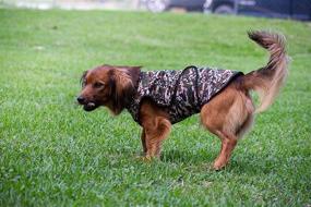 img 2 attached to LUCOLOVE Dog Cooling Vest, 2-Layer Camo Army Print Pet Cooler Jacket for All Dog Sizes. Lightweight UV Protection Cooling Shirt for Beach, Hiking, and Walking