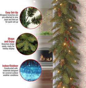 img 1 attached to 🎄 9-Foot National Tree Co. Pre-Lit Artificial Christmas Garland – Green Evergreen with White Lights, Pine Cones, Berry Clusters – Plug-In, Christmas Collection