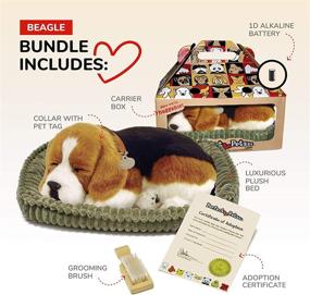 img 3 attached to 🐶 Optimal Rest Beagle by Perfect Pets International
