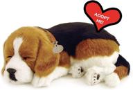 🐶 optimal rest beagle by perfect pets international logo