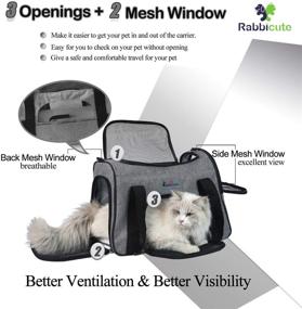 img 3 attached to RABBICUTE Pet Travel Carrier Bag for Small to Medium Dogs and Cats with Washable Bed, Locking Safety Zipper, Shoulder Strap, Airline Approved, Portable and Collapsible, Escape-Proof Puppy Carrier