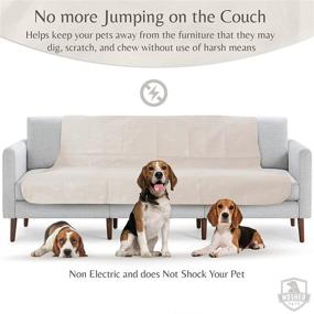 img 1 attached to 🐾 Keep Your Pets Off Furniture with Mosher Pets Indoor Pet Repeller Training Mat - A Non-Electric, Safe and Effective Pet Deterrent for Couches, Beds, Sofas, Cars, and Counters