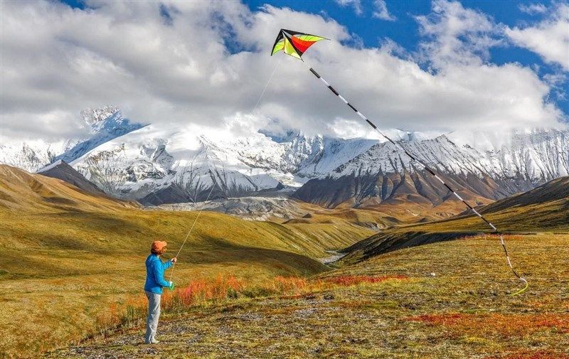 prism kite technology tt20 tube 로고