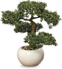 img 4 attached to 🌿 WHW Realistic Faux Harland Boxwood Bonsai Tree - Lifelike Houseplant with White Round Pot and Pebbles - Over 1 Ft Tall (H33cm)