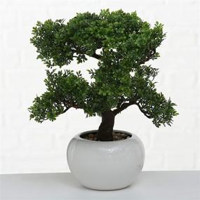 img 3 attached to 🌿 WHW Realistic Faux Harland Boxwood Bonsai Tree - Lifelike Houseplant with White Round Pot and Pebbles - Over 1 Ft Tall (H33cm)