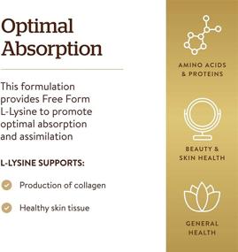 img 2 attached to Solgar L-Lysine 1000 mg: Enhanced Absorption and Skin & Lip Integrity - 250 Tablets - Collagen Support - Non-GMO, Vegan, Gluten-Free - 250 Servings