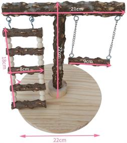 img 1 attached to ZARYIEEO Wooden Bird Perch Stand with Base - Ideal for Small Parakeets, Cockatiels, Conures, Macaws, Parrots, Love Birds, Finches - Includes Ladder, Swings, and Bird Training Chew Toys