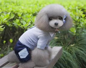 img 2 attached to 🐾 SELMAI Pet Costume for Small Dog: Cute British Style School Uniform with Stripe Tie - Cat Jumpsuit & Puppy Grey Sweater Pants Outfit; Denim Jeans with Pocket in Soft Cotton - Perfect Party Clothes