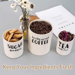 img 2 attached to ☕ Stylish Hasense Porcelain Coffee Sugar Canisters Set - Airtight Food Storage Jars for Kitchen with 3 Containers for Tea, Sugar, and Ground Coffee – White Ceramic Containers for Kitchen Counter