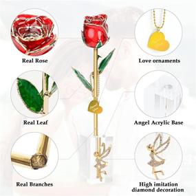 img 2 attached to 🌹 Real Rose Dipped in 24k Gold, Elegant Gifts for Wife/Mom, Forever Rose with Crystal Stand, Handcrafted Presents for Women on Birthday, Anniversary, Valentine's Day, Mother's Day