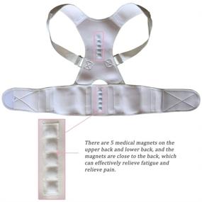 img 1 attached to 🩺 Magnetic Back Braces for Back Pain - Adjustable Posture Corrector for Men & Women - Lumbar Support with 2 Steel Bones - Corrective Posture & Fatigue Relief - Beige, Large