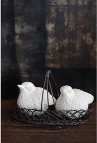 img 1 attached to 🐦 Decorative Ceramic Bird Salt & Pepper Shakers in Brown Wire Basket (3-Piece Set) - Creative Co-Op