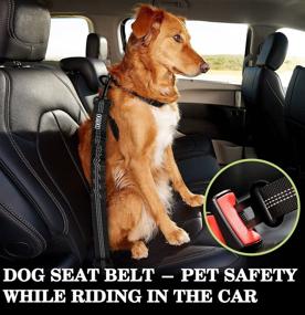 img 2 attached to 🐶 COOYOO Dog Seat Belt Set - Retractable Standard & Headrest Restraints with Bungee Shock Absorption, Reflective Threads - Adjustable Car Harness for Vehicle, Ideal for Car Dogs Restraint - 2 Pack