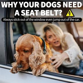 img 3 attached to 🐶 COOYOO Dog Seat Belt Set - Retractable Standard & Headrest Restraints with Bungee Shock Absorption, Reflective Threads - Adjustable Car Harness for Vehicle, Ideal for Car Dogs Restraint - 2 Pack