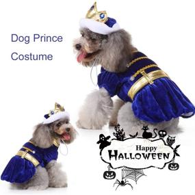 img 1 attached to Dress up your Dog in a Royal Halloween Costume with Sapphire Crown - Perfect for Parties and Photos!