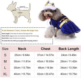 img 3 attached to Dress up your Dog in a Royal Halloween Costume with Sapphire Crown - Perfect for Parties and Photos!