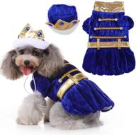 dress up your dog in a royal halloween costume with sapphire crown - perfect for parties and photos! логотип