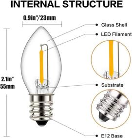 img 3 attached to 💡 C7 Incandescent Filament Bulb - Tsunetani C7 Edison Equivalent