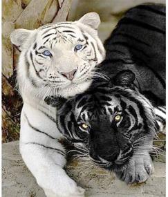 img 3 attached to 🐯 Yumeart Diamond Painting Cross Stitch Black and White Tiger Needlework Mosaic Embroidery Hobbies Craft Home Decor 30x40cm(12x16 inches)