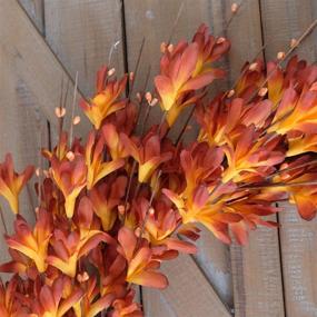 img 1 attached to Bibelot 20-Inch Artificial Forsythia Flower Wreath - Spring, Summer, Fall Silk Leaves for Front Door, Porch, Farmhouse, Patio - Vibrant Orange Home Decor