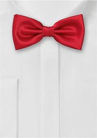 img 1 attached to 🎀 Stylish Solid Color Satin Pre-Tied Bow Tie for Boys 2-10 | BOWS-N-TIES