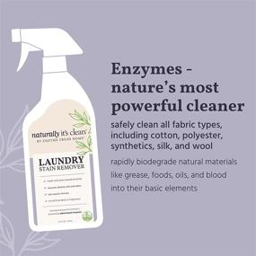 img 2 attached to Naturally Clean Enzymatic Laundry Stain Remover